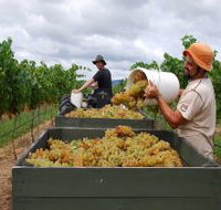Golden Grove Estate - VIC Tourism