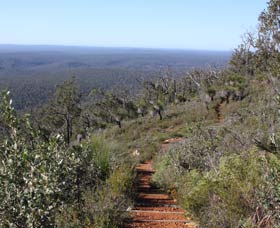 Mount Dale Walk Trail - VIC Tourism 0