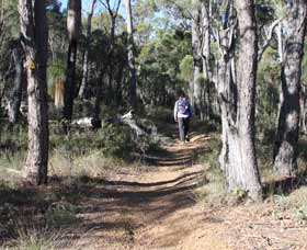 Mount Dale Walk Trail - VIC Tourism 2