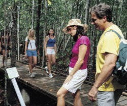 Toowoomba Water Bird Habitat - VIC Tourism 1