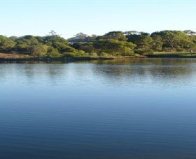 Toowoomba Water Bird Habitat - VIC Tourism 2