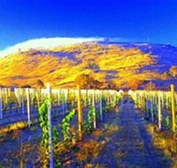 Surveyors Hill Winery - VIC Tourism