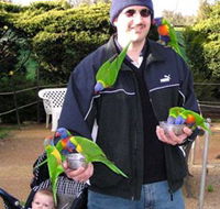 Canberra Walk In Aviary - VIC Tourism