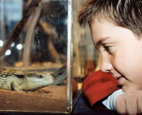 Canberra Reptile Zoo - VIC Tourism 0