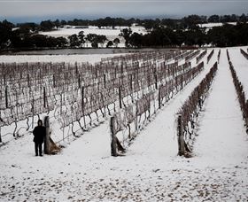 Savina Lane Premum Wines - VIC Tourism 2