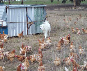 Northside Farmers Market - VIC Tourism 1