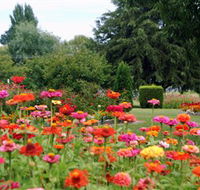 Alma Park - VIC Tourism