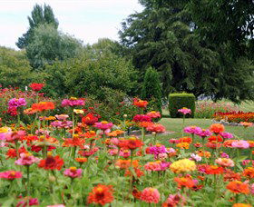 Alma Park - VIC Tourism 0