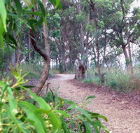Mount Mutton Walking Trail - VIC Tourism