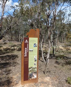 Mulligans Flat - VIC Tourism 1