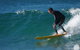 Surfaris Surf Camp - thumb 2