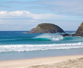 Surfaris Surf Camp - VIC Tourism 4