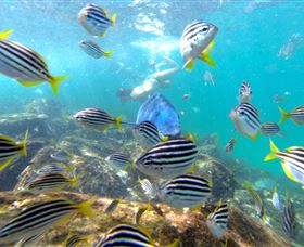 EcoTreasures - VIC Tourism 0