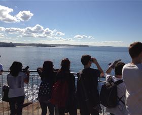 EcoTreasures - VIC Tourism 3