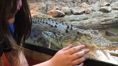 Canberra Reptile Zoo - VIC Tourism 3