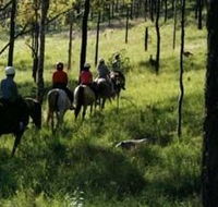 Hunter Valley Horse Riding and Adventures - VIC Tourism