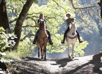 Hunter Valley Horse Riding And Adventures - VIC Tourism 1