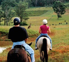 Hunter Valley Horse Riding And Adventures - VIC Tourism 3