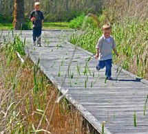 Hunter Wetlands Centre Australia - VIC Tourism 1
