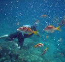 Imagine Cruises - VIC Tourism