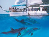 Imagine Cruises - VIC Tourism 2