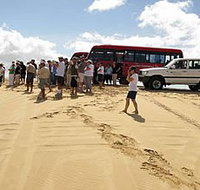Port Stephens 4WD Tours - VIC Tourism