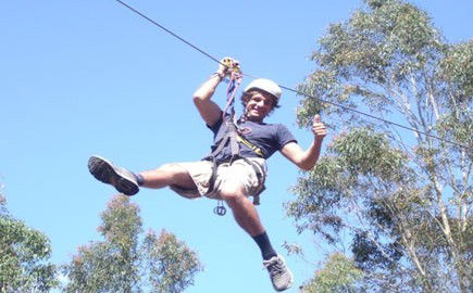 TreeTops Newcastle - VIC Tourism 1