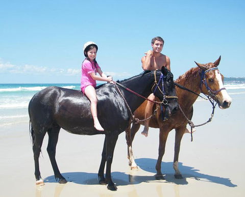Pegasus Park Equestrian Centre - VIC Tourism 1