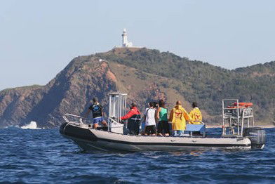 Byron Bay Dolphin Wildlife Tours - VIC Tourism 1