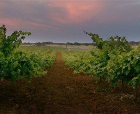 Wine Class - VIC Tourism 0