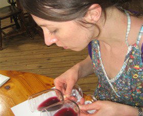 Wine Country Tours - VIC Tourism 6