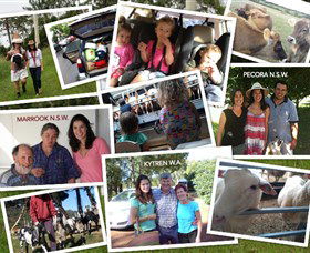 The NSW Cheese Tour - VIC Tourism 0