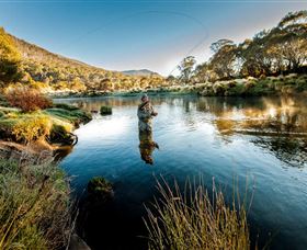 Tumut NSW VIC Tourism