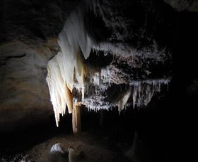 Country Charmâ„¢ Discovery Tours - VIC Tourism 1