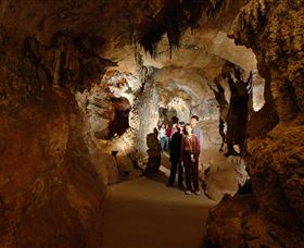 Country Charmâ„¢ Discovery Tours - VIC Tourism 3