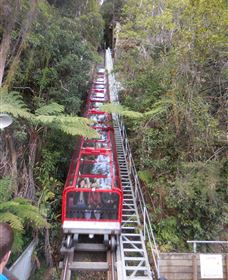 Country Charmâ„¢ Discovery Tours - VIC Tourism 6