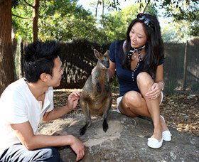 VIP Aussie Gold - VIC Tourism 0