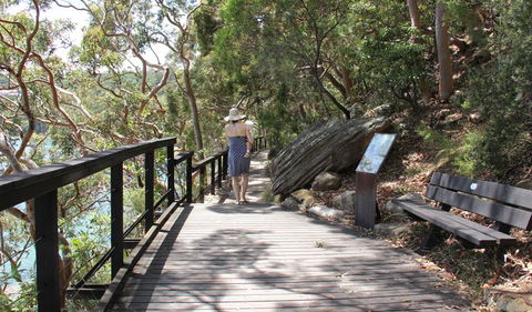 Bradleys Head To Chowder Bay Walk - VIC Tourism 1
