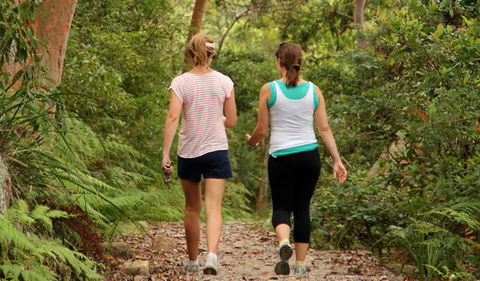 Bradleys Head To Chowder Bay Walk - VIC Tourism 0