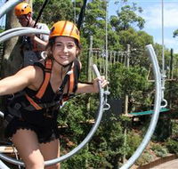 Wild Ropes at Taronga Zoo - VIC Tourism