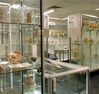 Museum of Human Disease - VIC Tourism