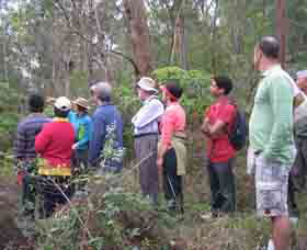 Boronia Tours - VIC Tourism 0