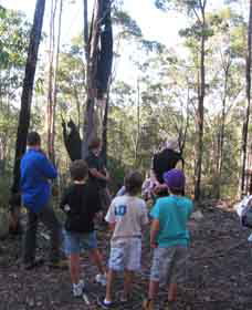 Boronia Tours - VIC Tourism 1