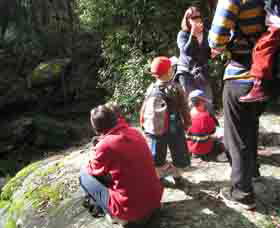 Boronia Tours - VIC Tourism 2