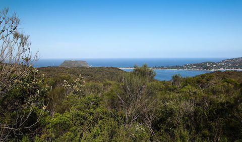 Aboriginal Heritage Walk - VIC Tourism 1