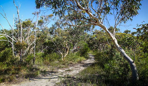 Aboriginal Heritage Walk - VIC Tourism 2