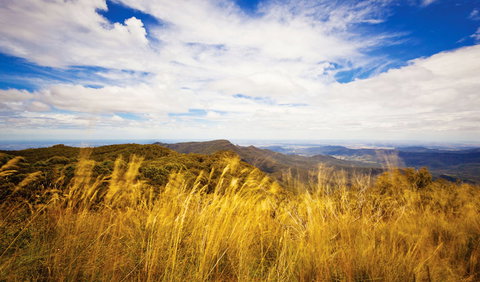 Muogamarra Nature Reserve - VIC Tourism 0