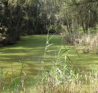 Second Ponds Creek walk - VIC Tourism