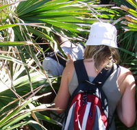 Palm Jungle loop track - VIC Tourism