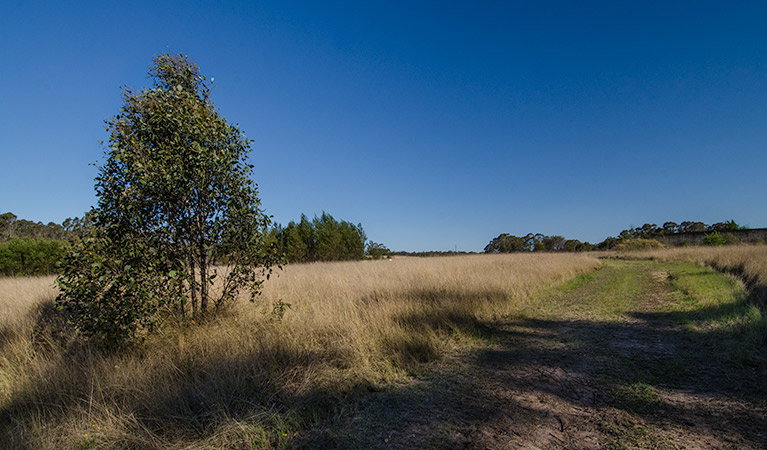 Oakville NSW VIC Tourism